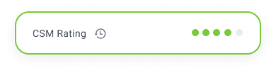customer health scores csm rating in customer 360 view